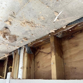 Severe Water Damage Severe Water Damage